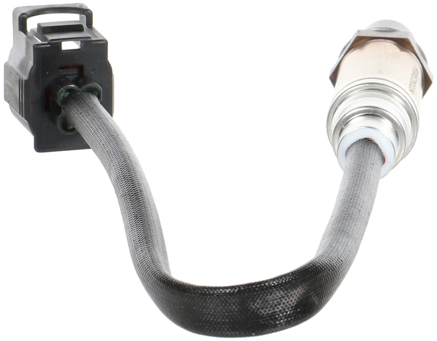 Accessory Drive Belt 15508