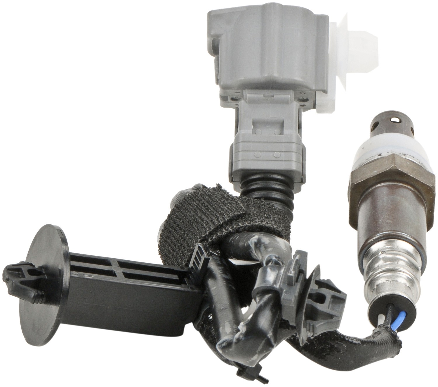 Accessory Drive Belt 15570