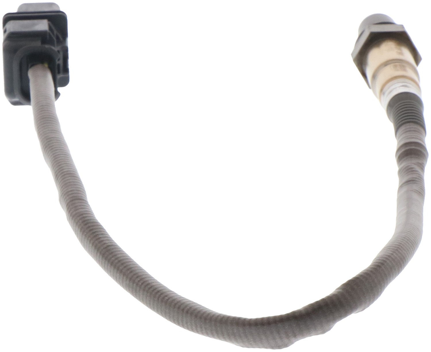 Accessory Drive Belt 17341