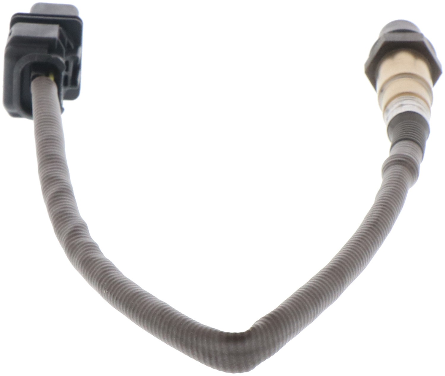 Accessory Drive Belt 17355