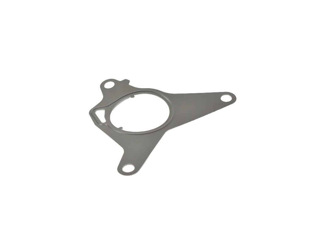 Mopar Vacuum Pump Gasket 68140726AC