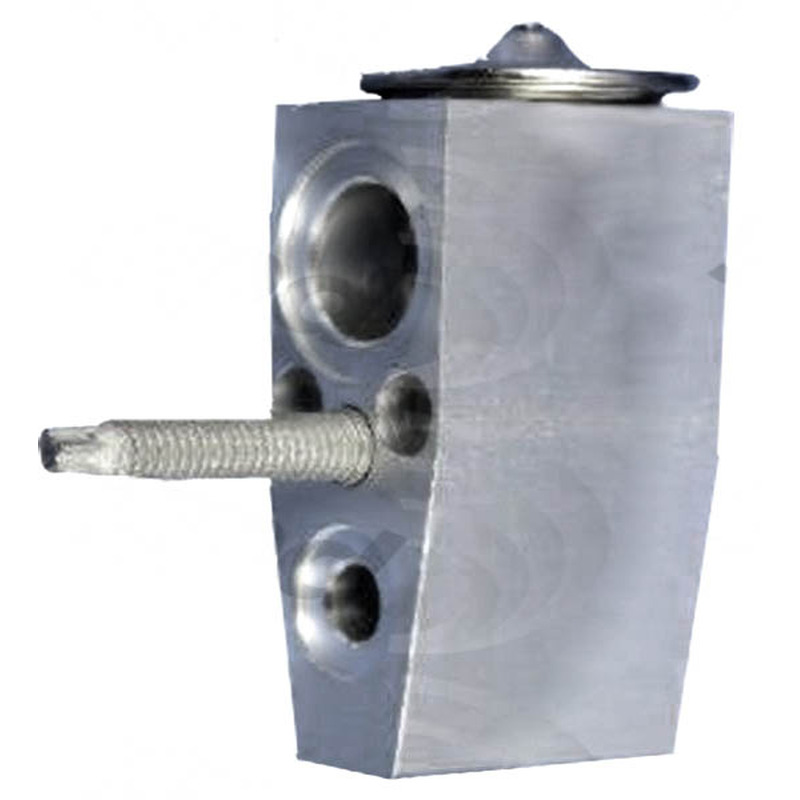 A/C Expansion Valve GPD3411528