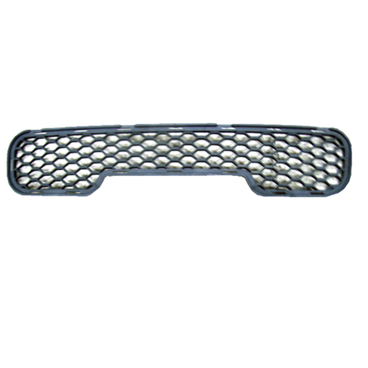 Bumper Grille 8651326910