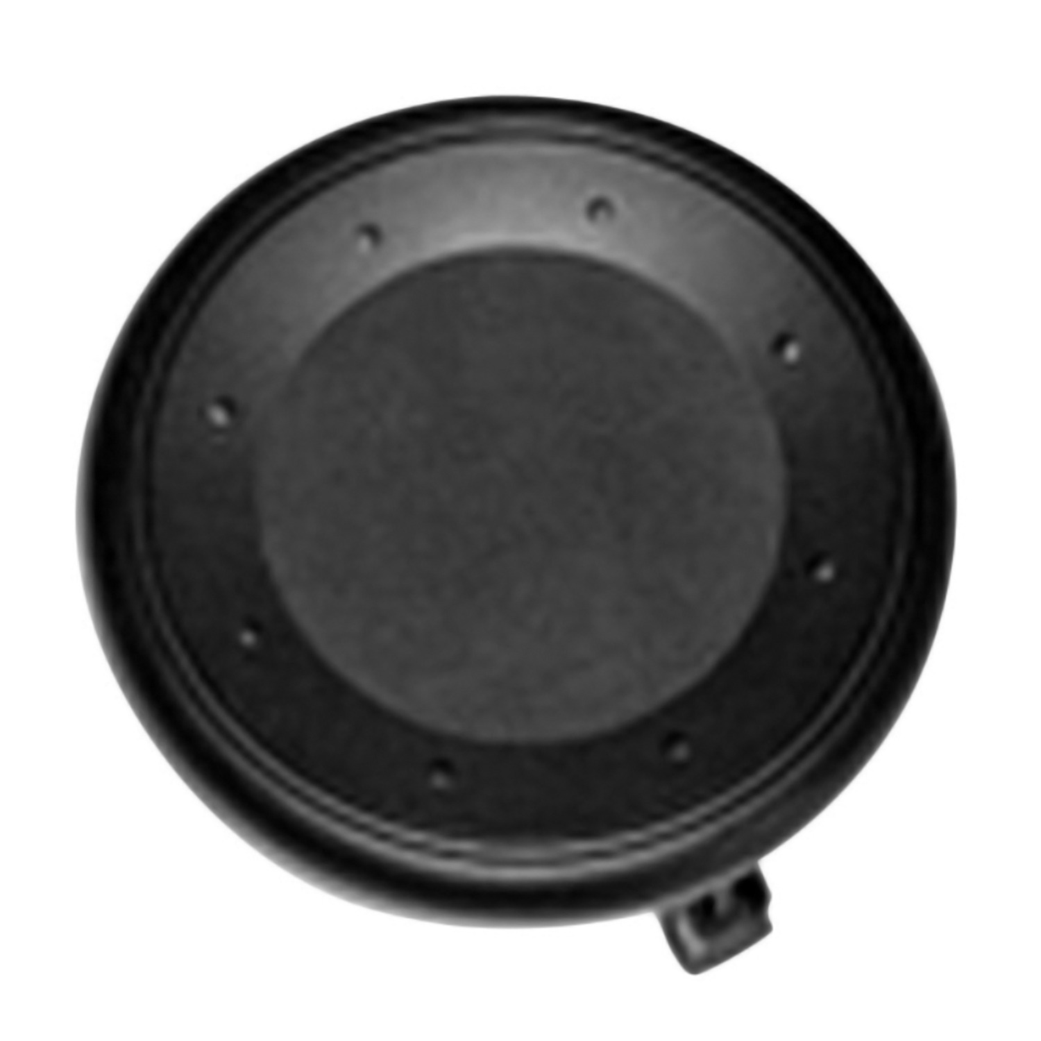 Fog Light Cover 7175379J005PK