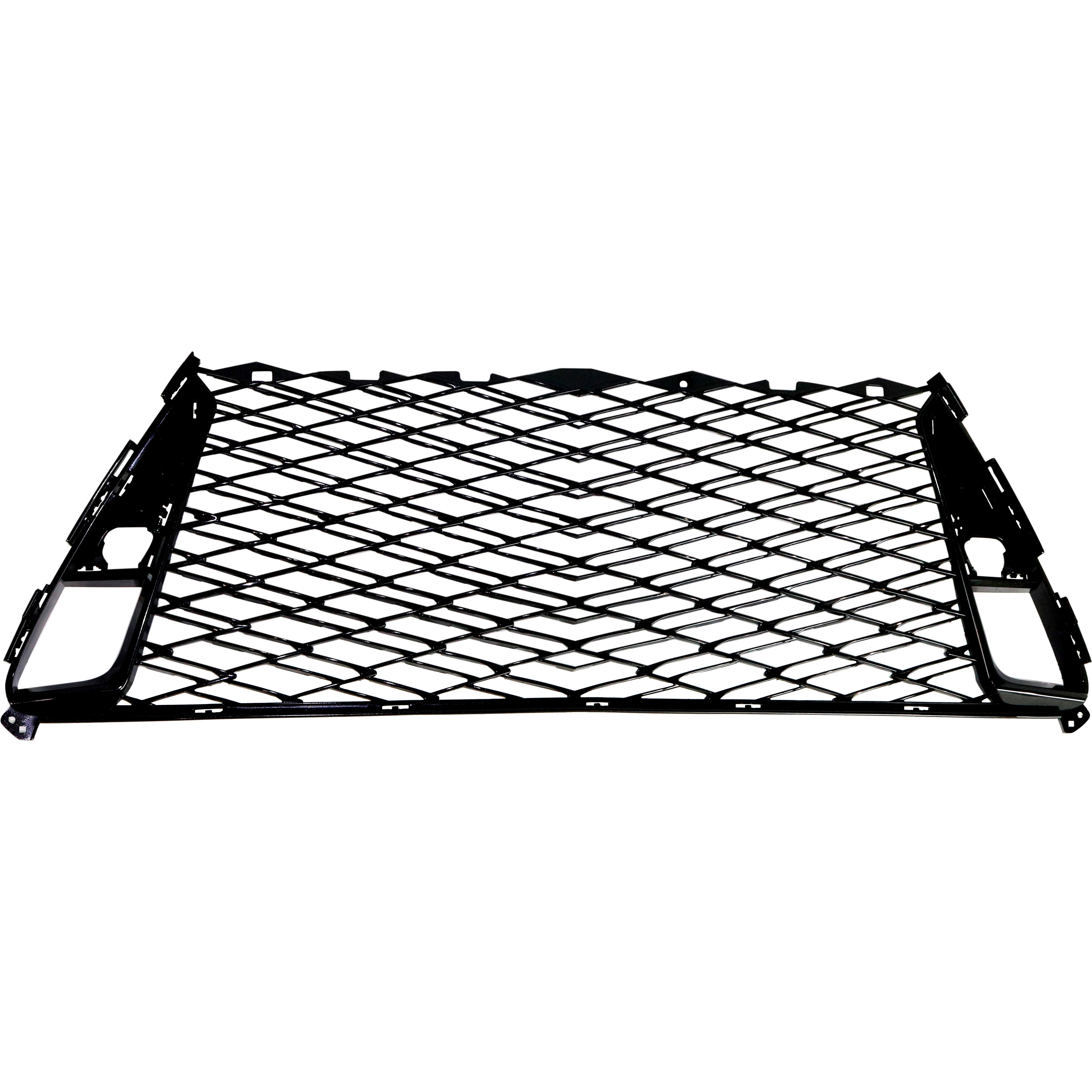 Bumper Grille LX1200187 5311353160