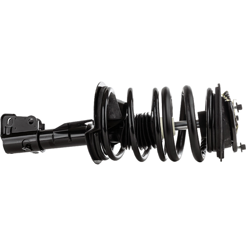 Shock Absorber and Strut Assembly RC28050063