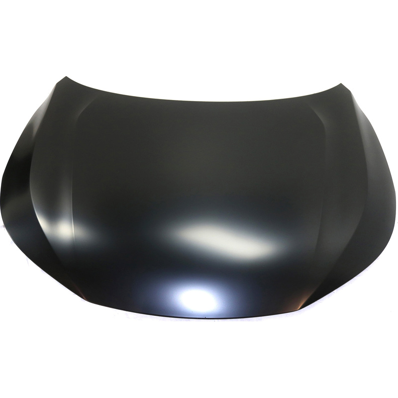 Hood 60100T2GA10ZZ-PFM