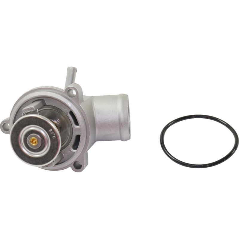 Thermostat REPM318010