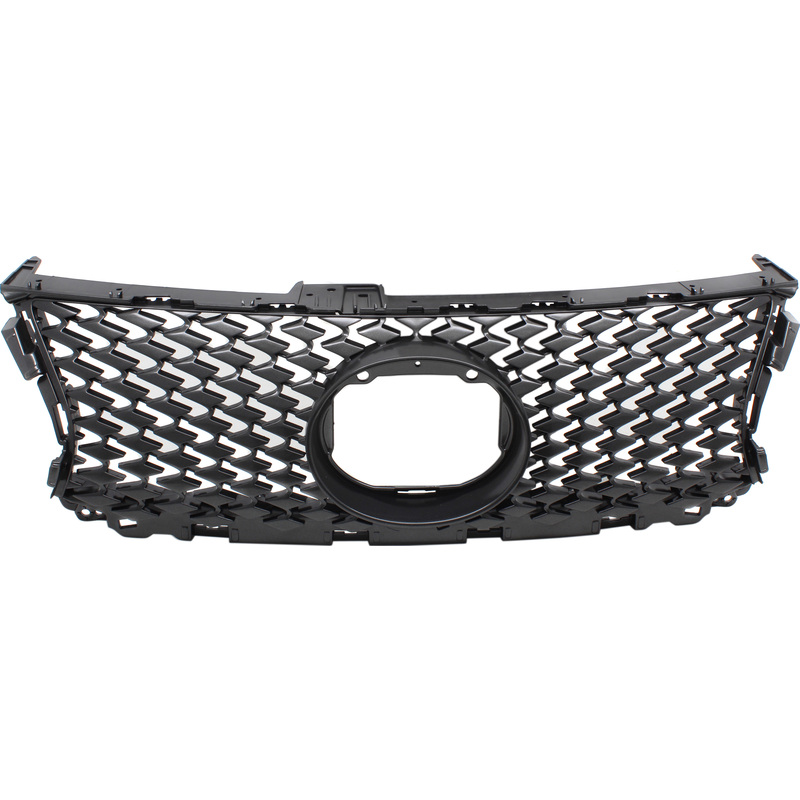 Grille Assembly 5311253061
