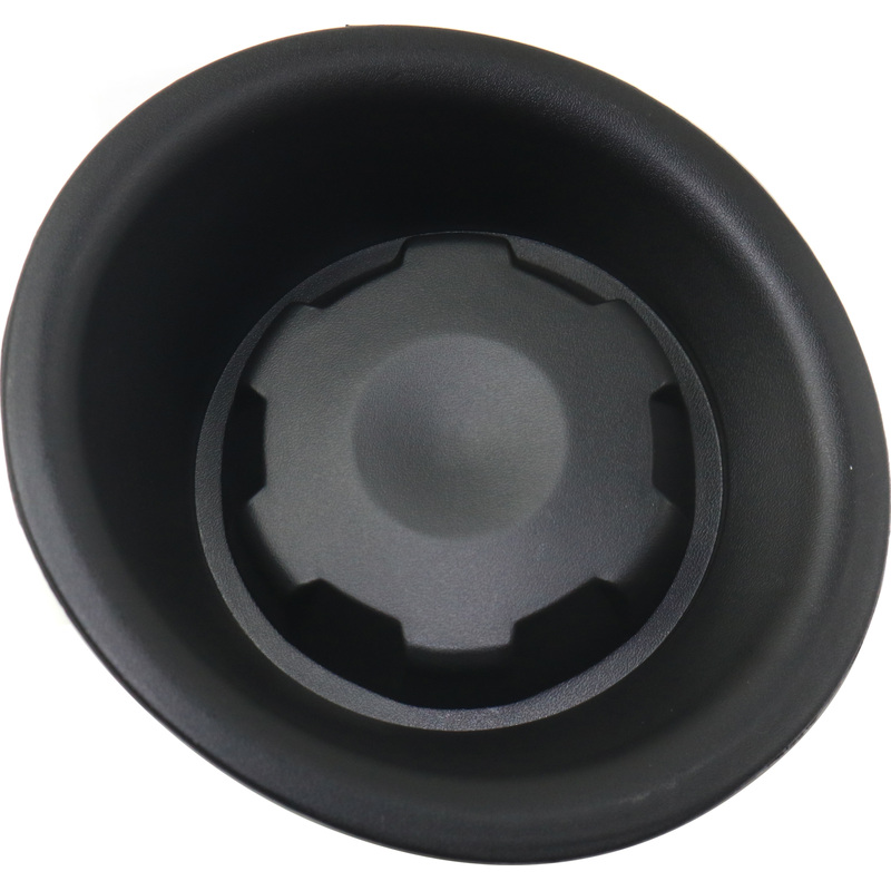 Fog Light Cover NI1039118 62256EA810