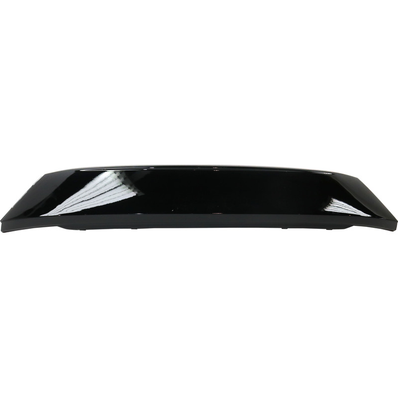 Bumper Grille TO1036176 53114WB003